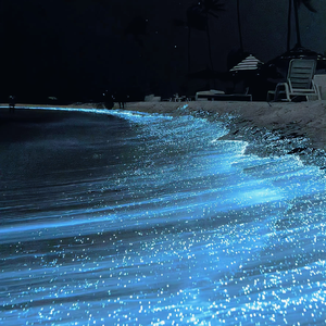 风流女运动员A片
